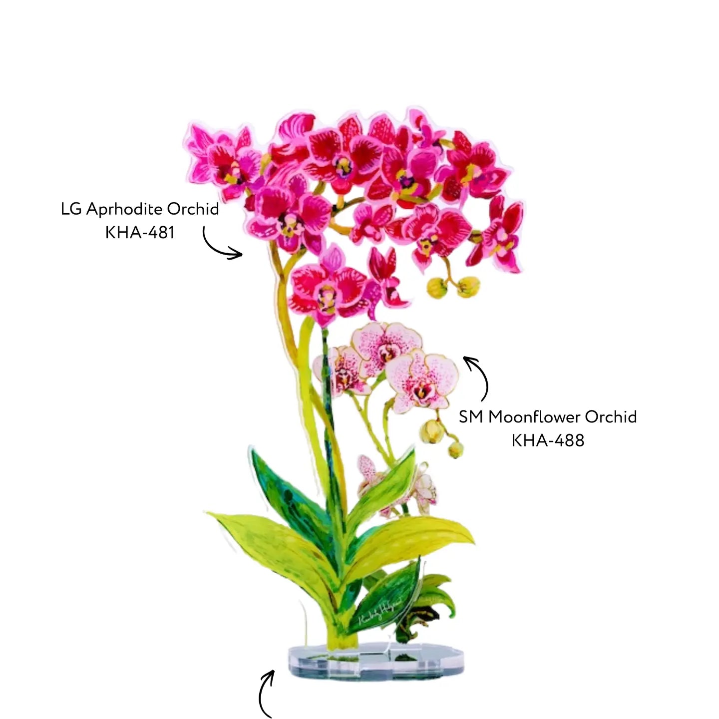 Aphrodite Floral Arrangement Bundle