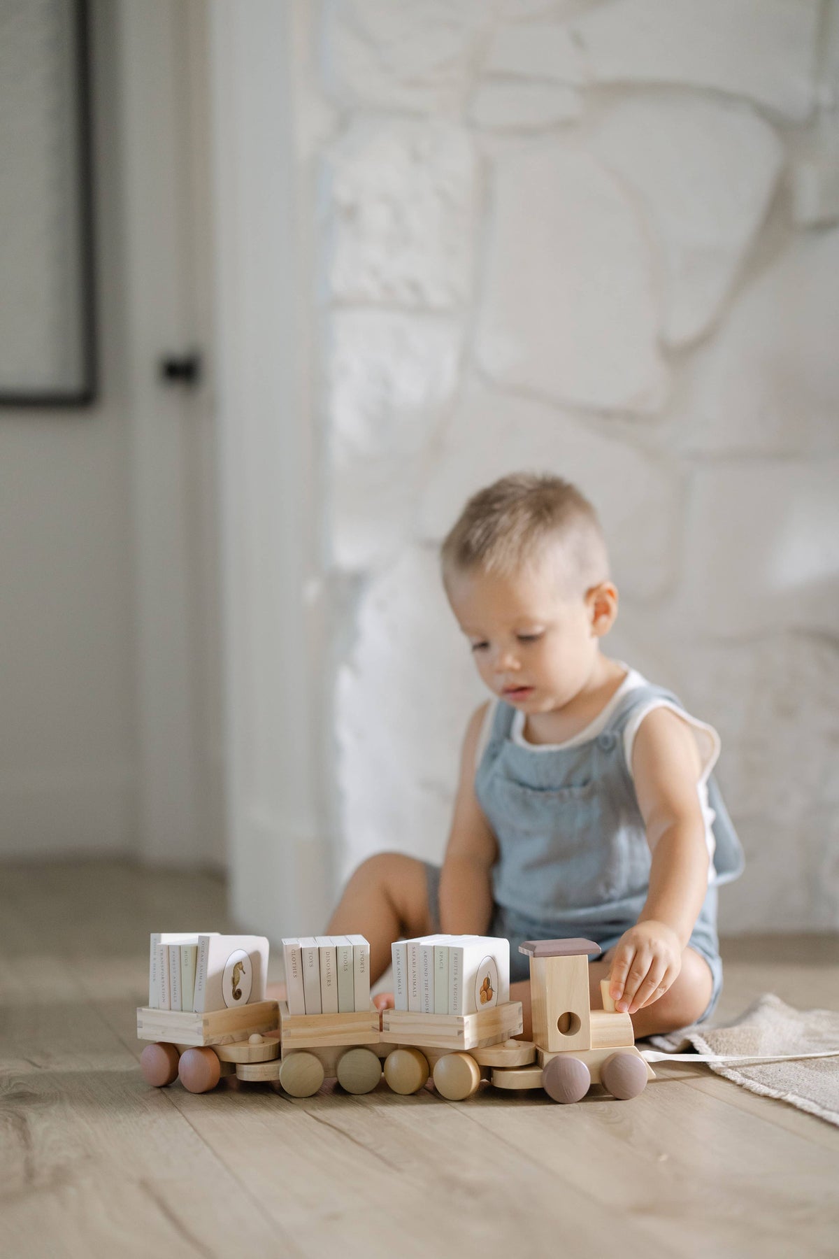 My Little Locomotive Library: Our Little Library 15-Book Set