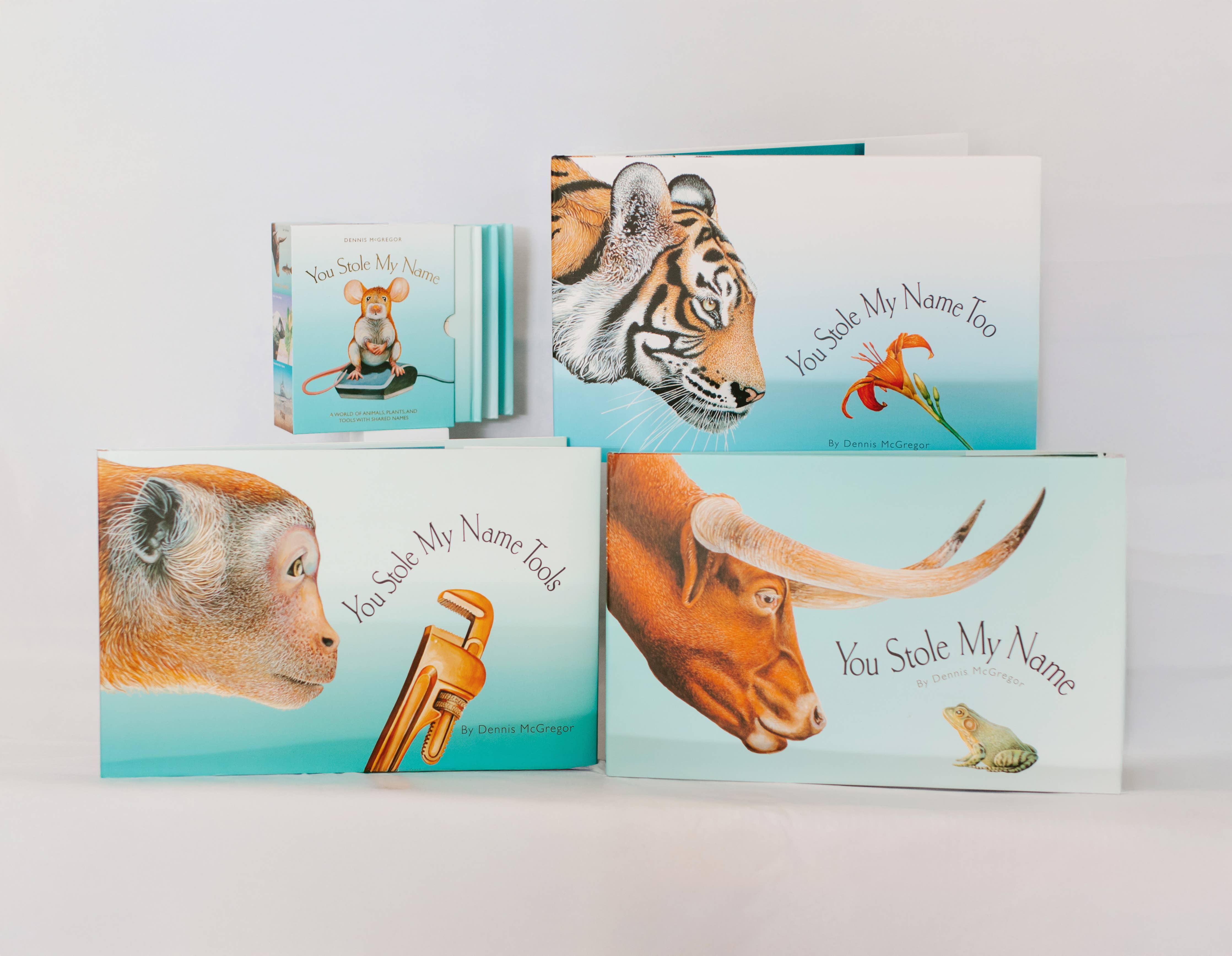 You Stole My Name: Board Book for Baby