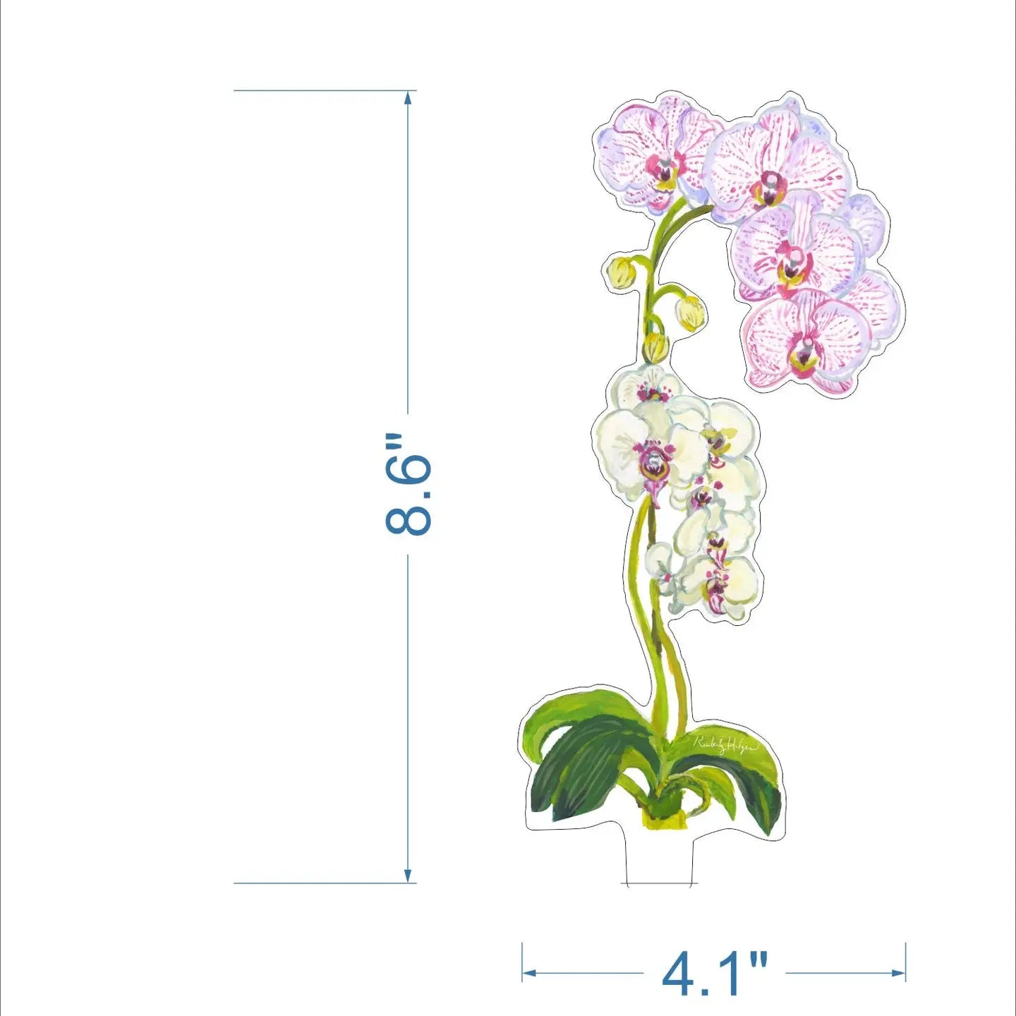 Acrylic Pink Stripe Orchid