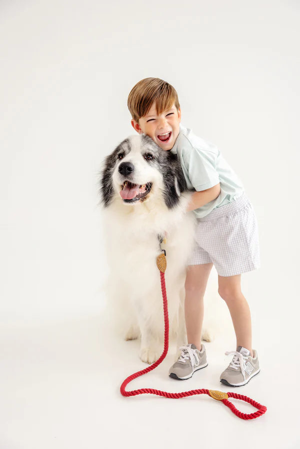 Sheffield Shorts- Grantley Grey Mini Gingham