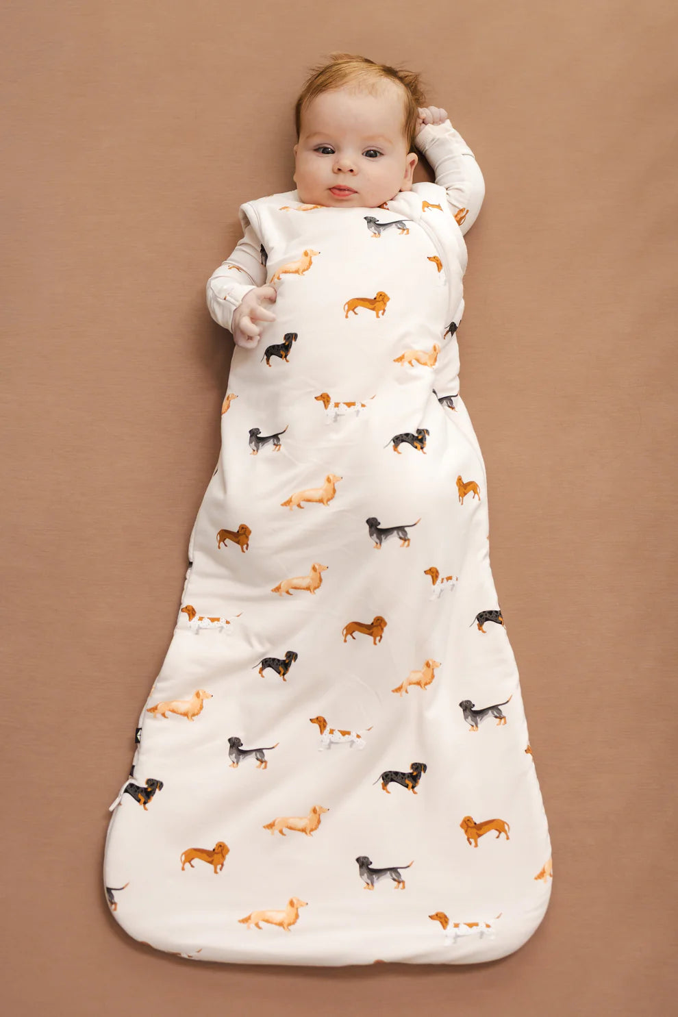 Sleep Bag in Dachshund 1.0