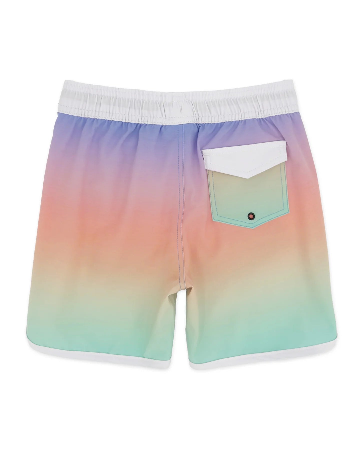 Scallop Boardshort - Ombre