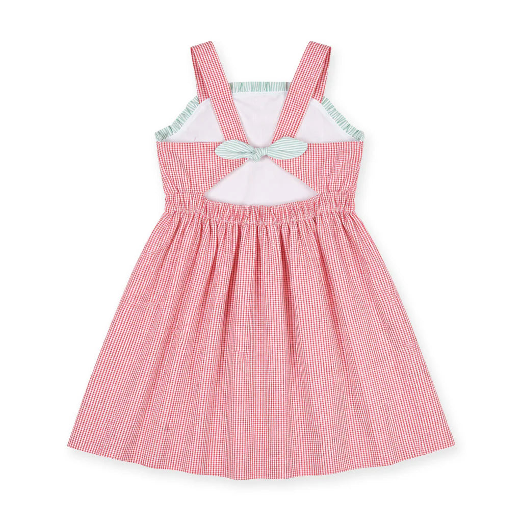 Check Seersucker Dress With Watermelon