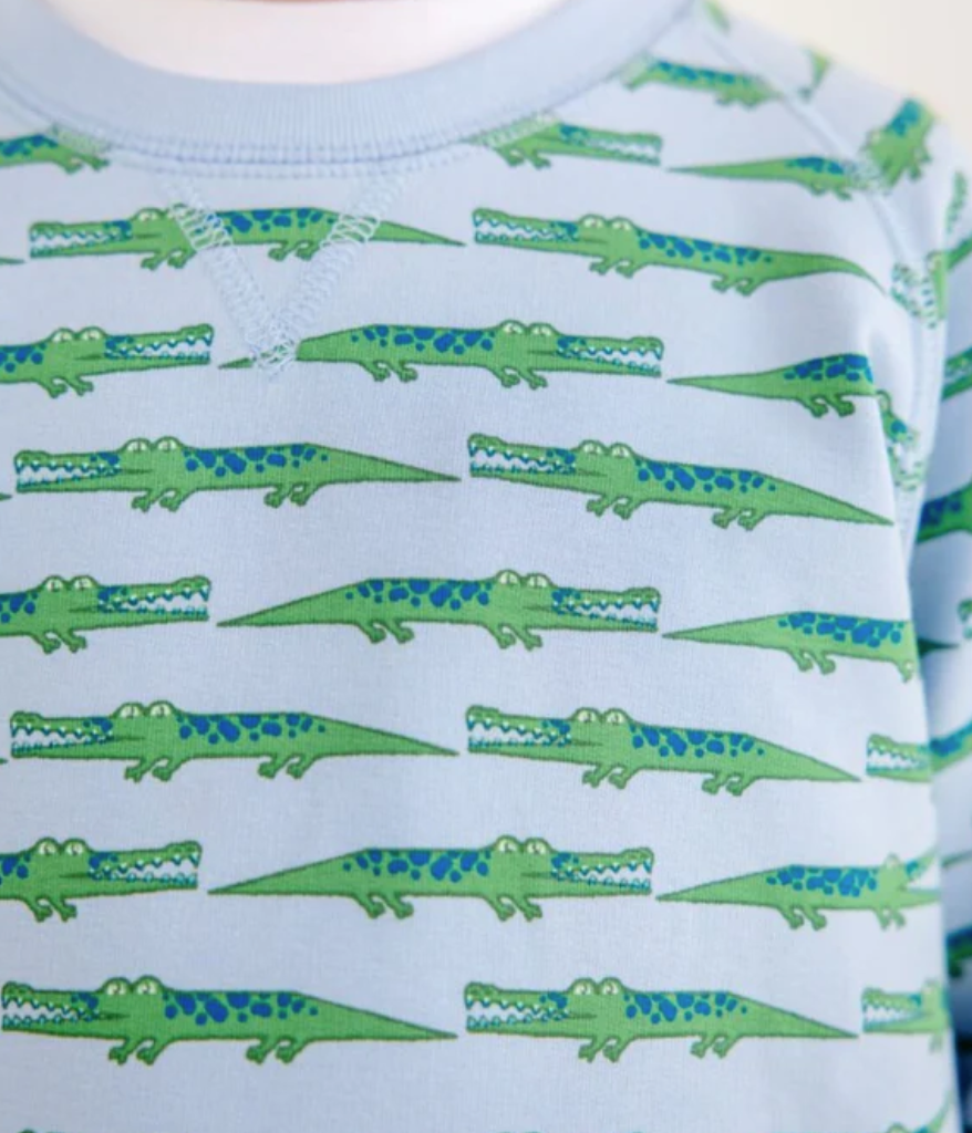 Cassidy Comfy Crewneck- See Ya Later Alligator
