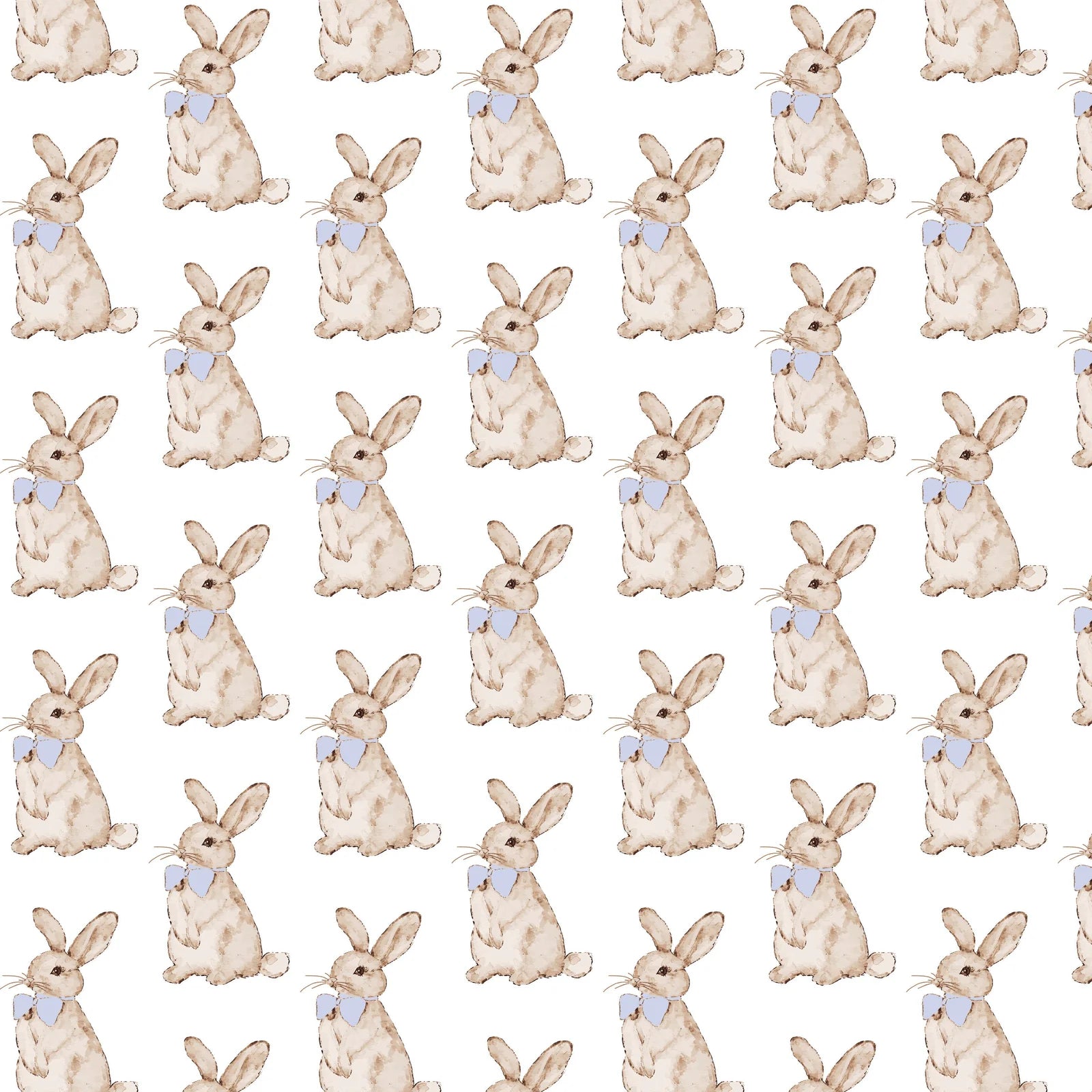 Palmer Boys' Bubble - Easter Bunnies Blue