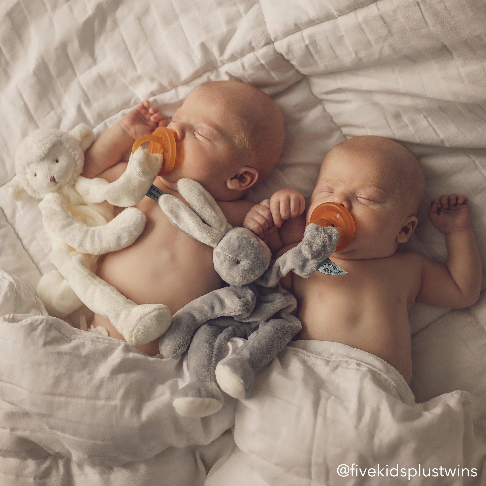 Bunnies by the Bay Silly Buddy