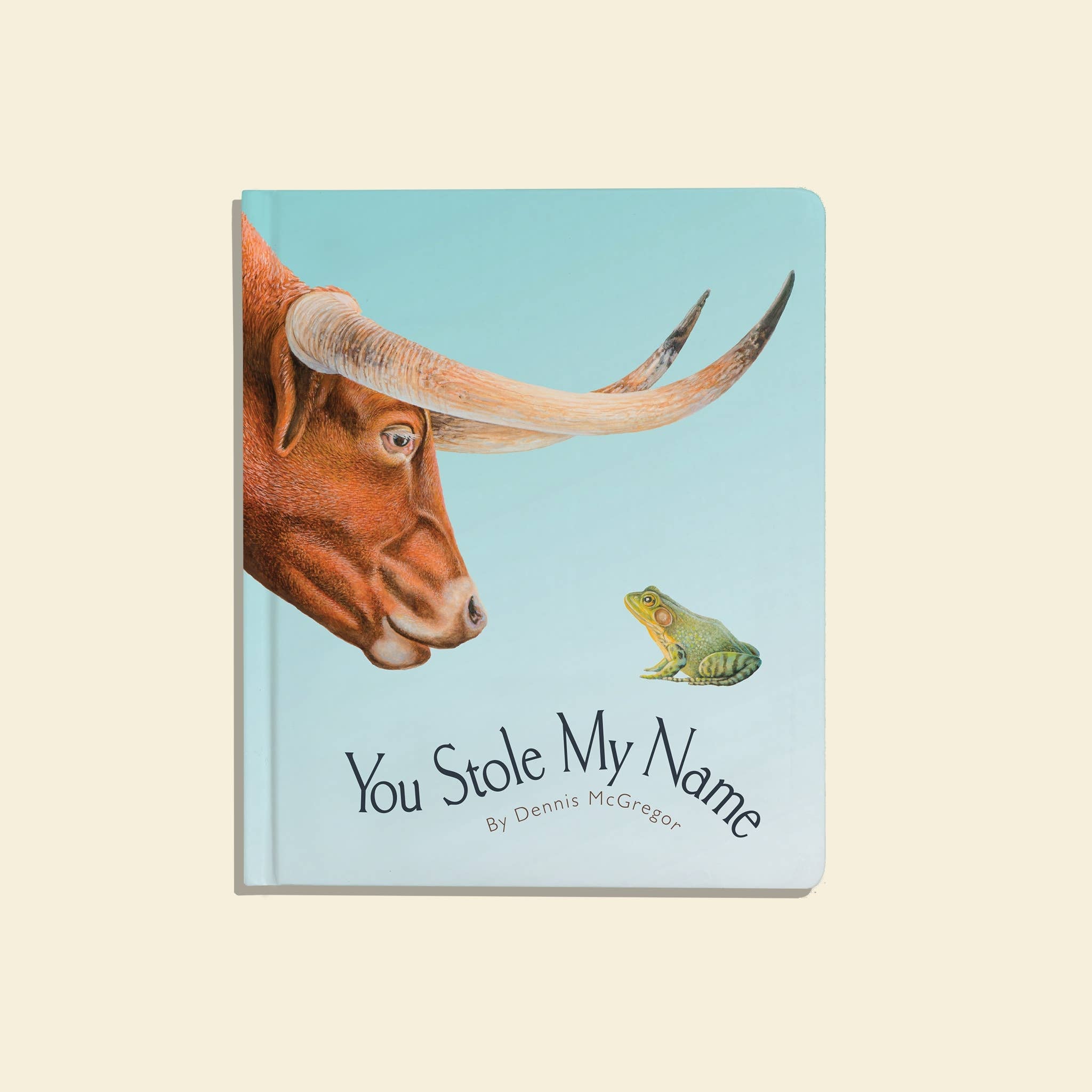 You Stole My Name: Board Book for Baby