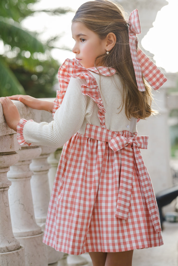 Rosy Gingham Dress