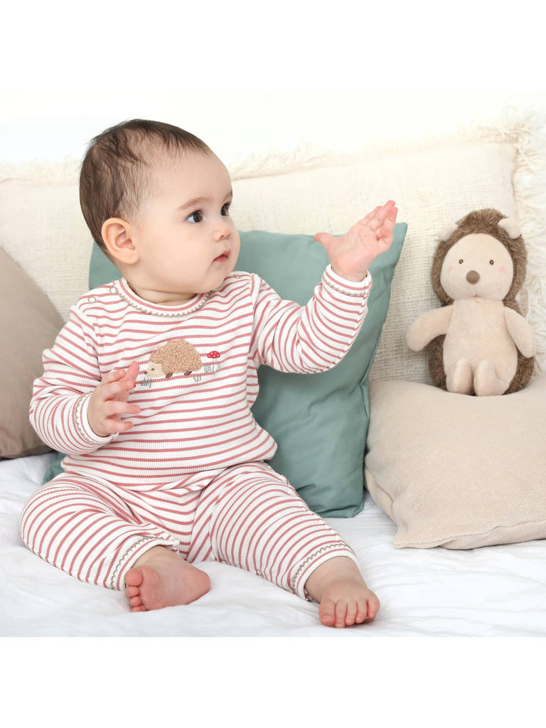 Henri Hedgehog Applique Babygro
