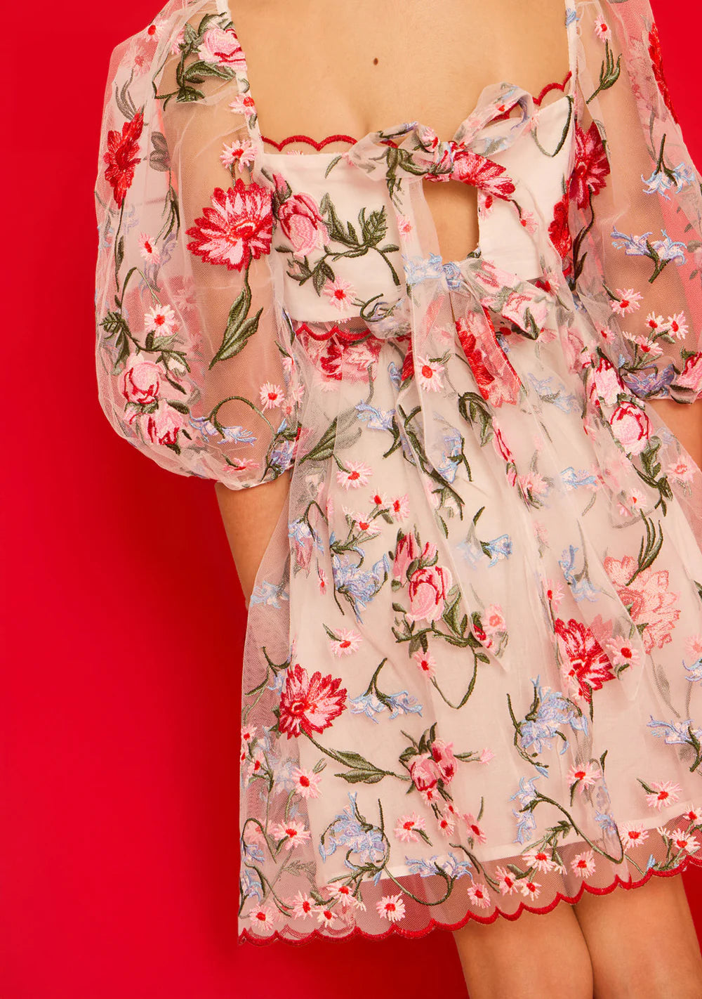 Lilia Embroidered Mini Dress