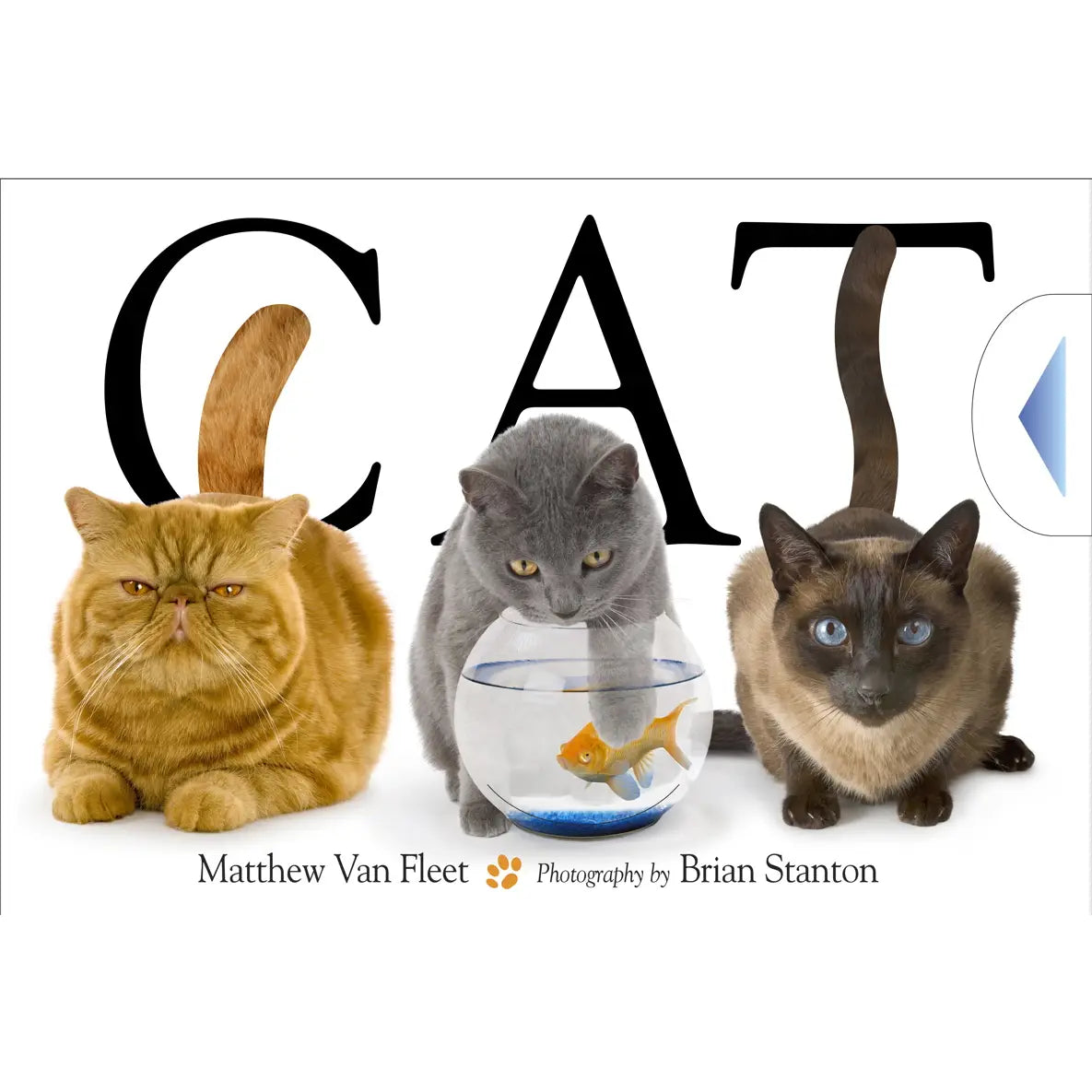 Cat By Matthew Van Fleet