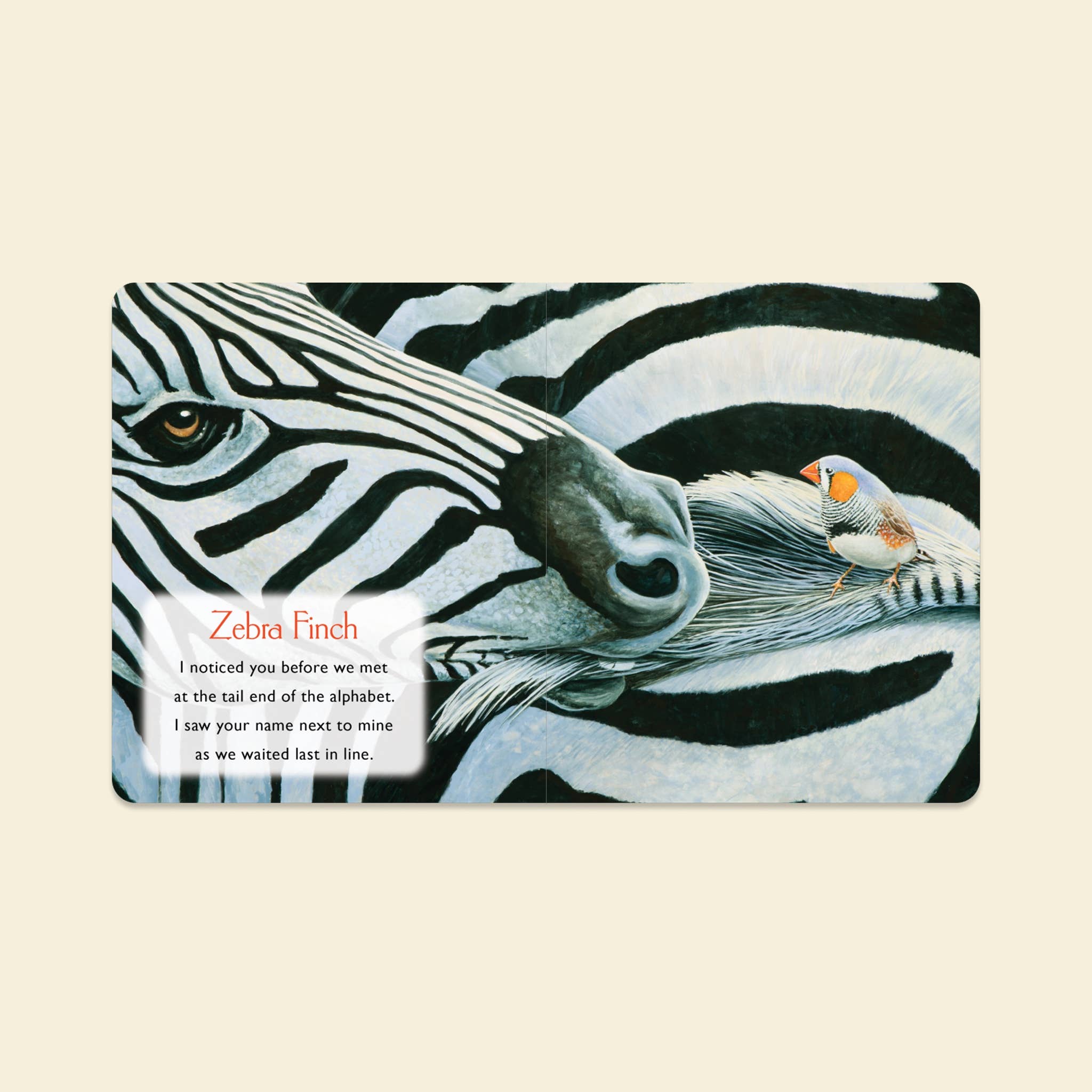 You Stole My Name: Board Book for Baby