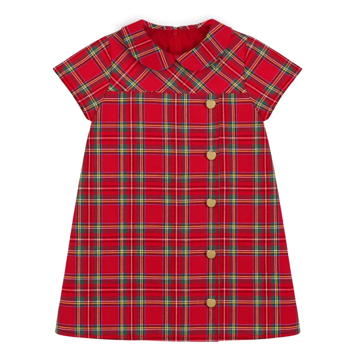 Plaid Dress with Buttons
