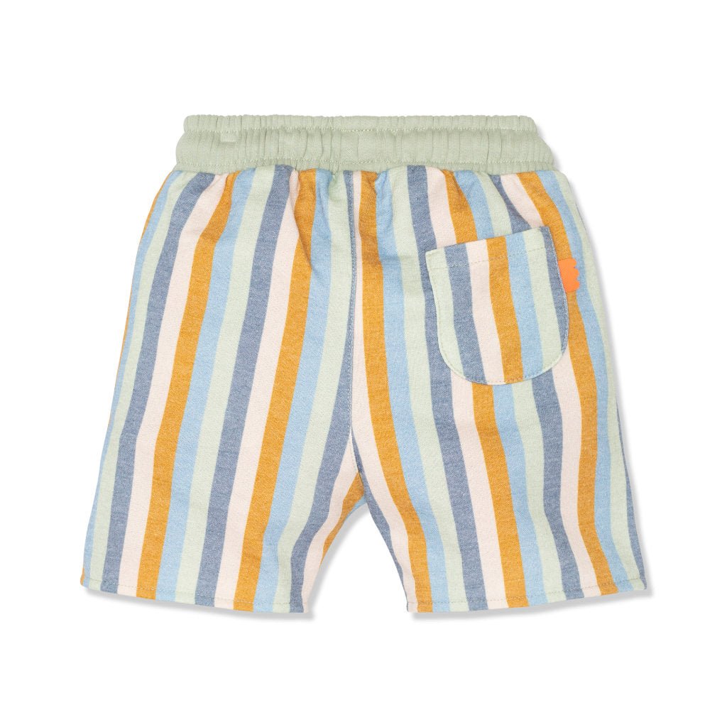 Light Sage Stripes Kid Shorts