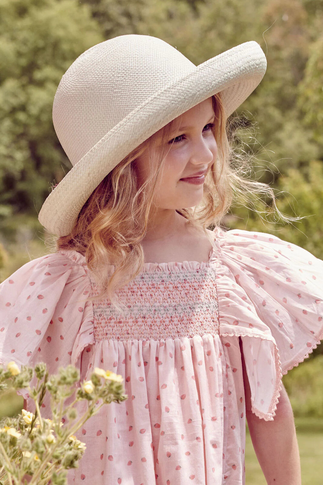 Sophie Dress- Fraises