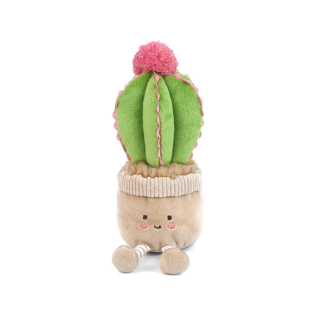 Cactus Cutie