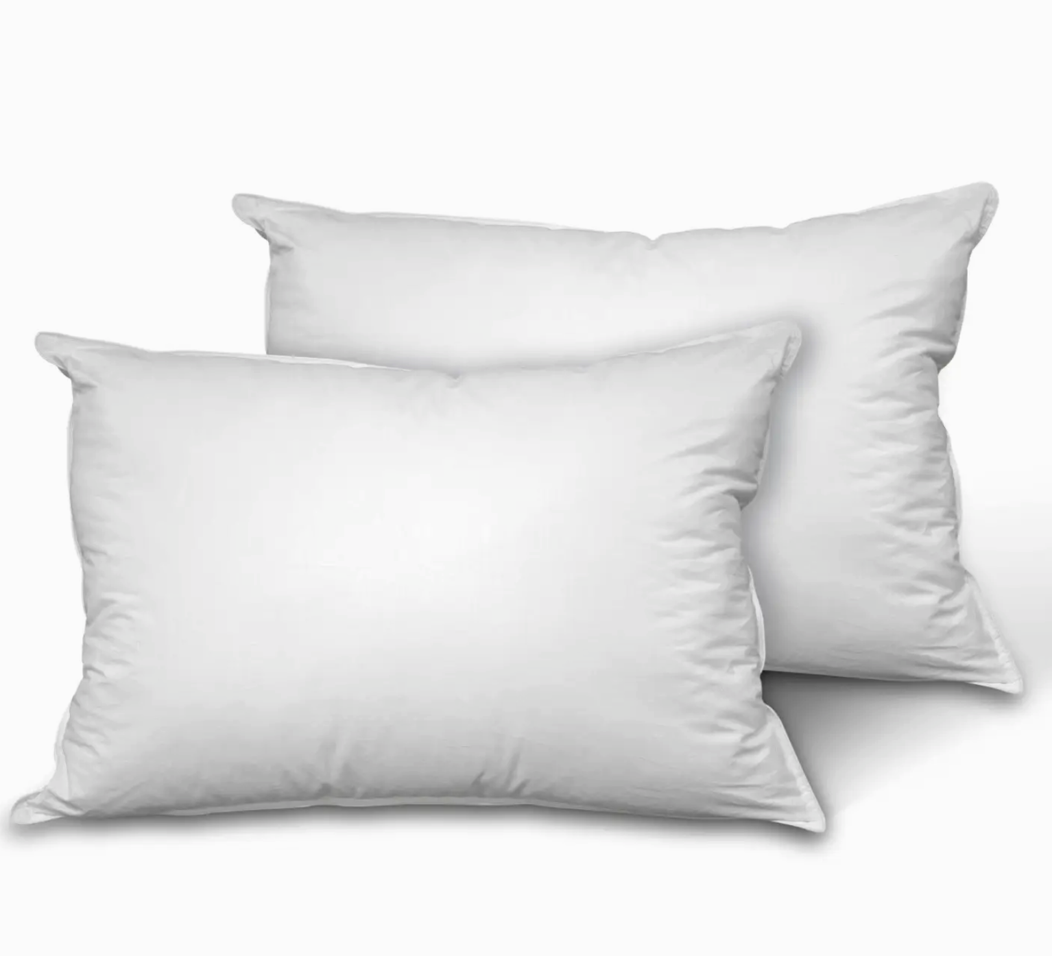 Down Pillow Inserts 10x14
