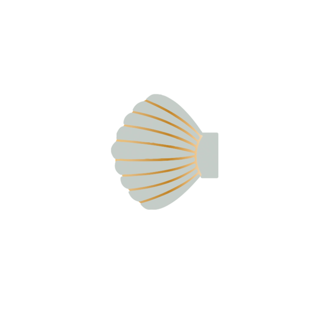 Shell Clip Set || Seafoam & Natural