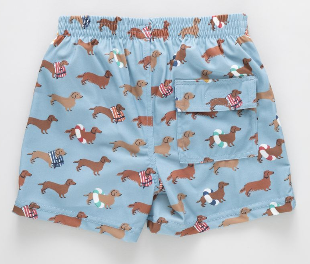 boys swim trunk- swim dachshunds