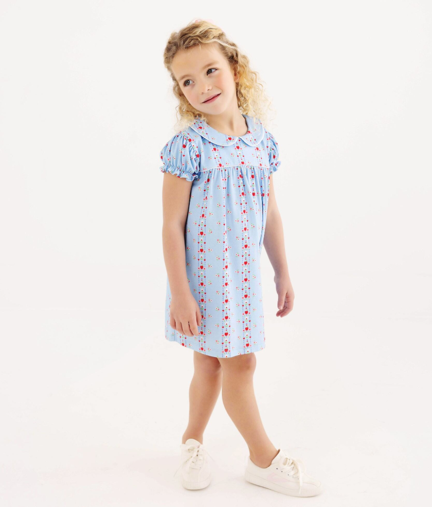 Holly Day Dress Pima- First Day Flowers