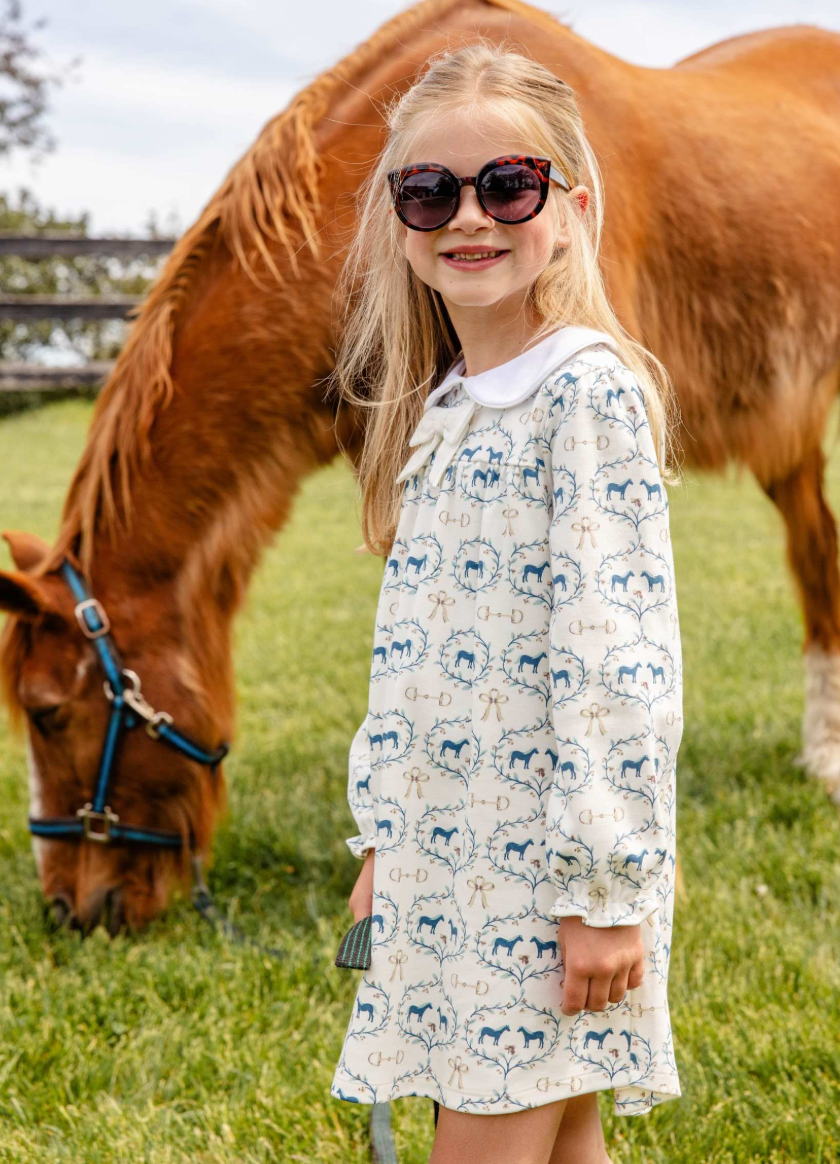 Long Sleeve Banks Bow Dress- Horse Bits and Bows