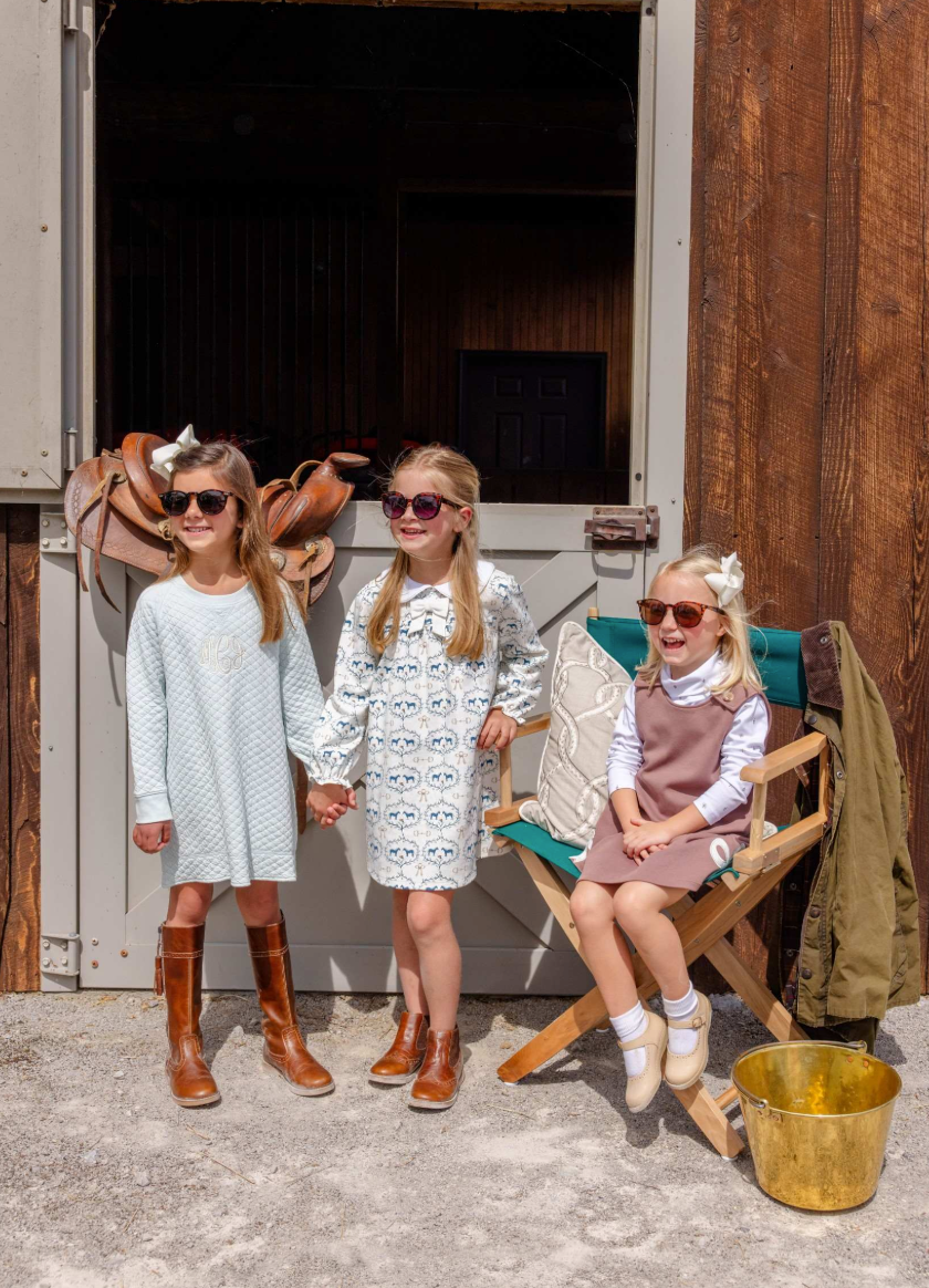Long Sleeve Banks Bow Dress- Horse Bits and Bows