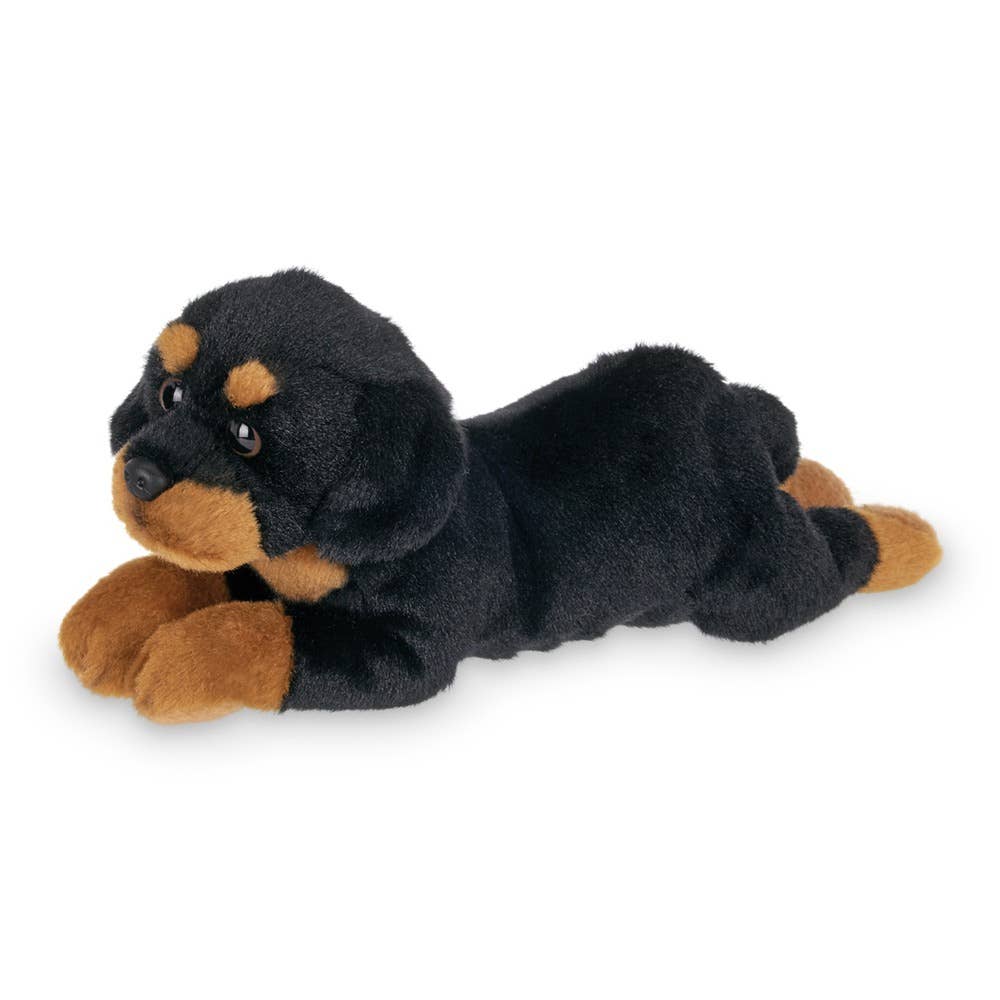 Lil' Gunner the Rottweiler