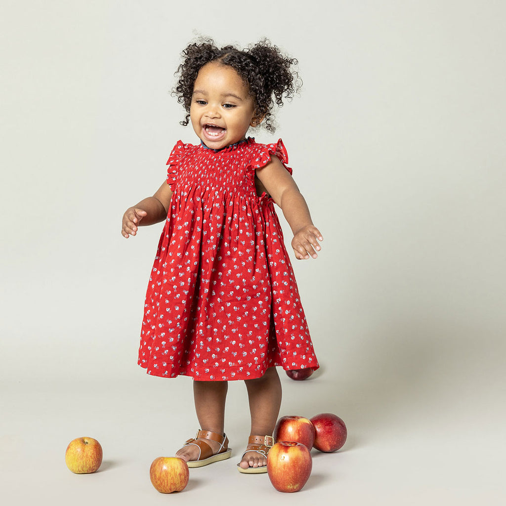 Stevie Dress - Tiny Red Roses