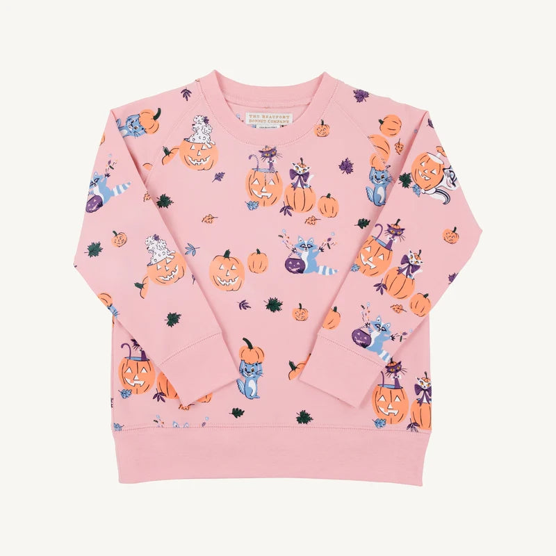 Cassidy Comfy Crewneck- Candy and Critters Pink