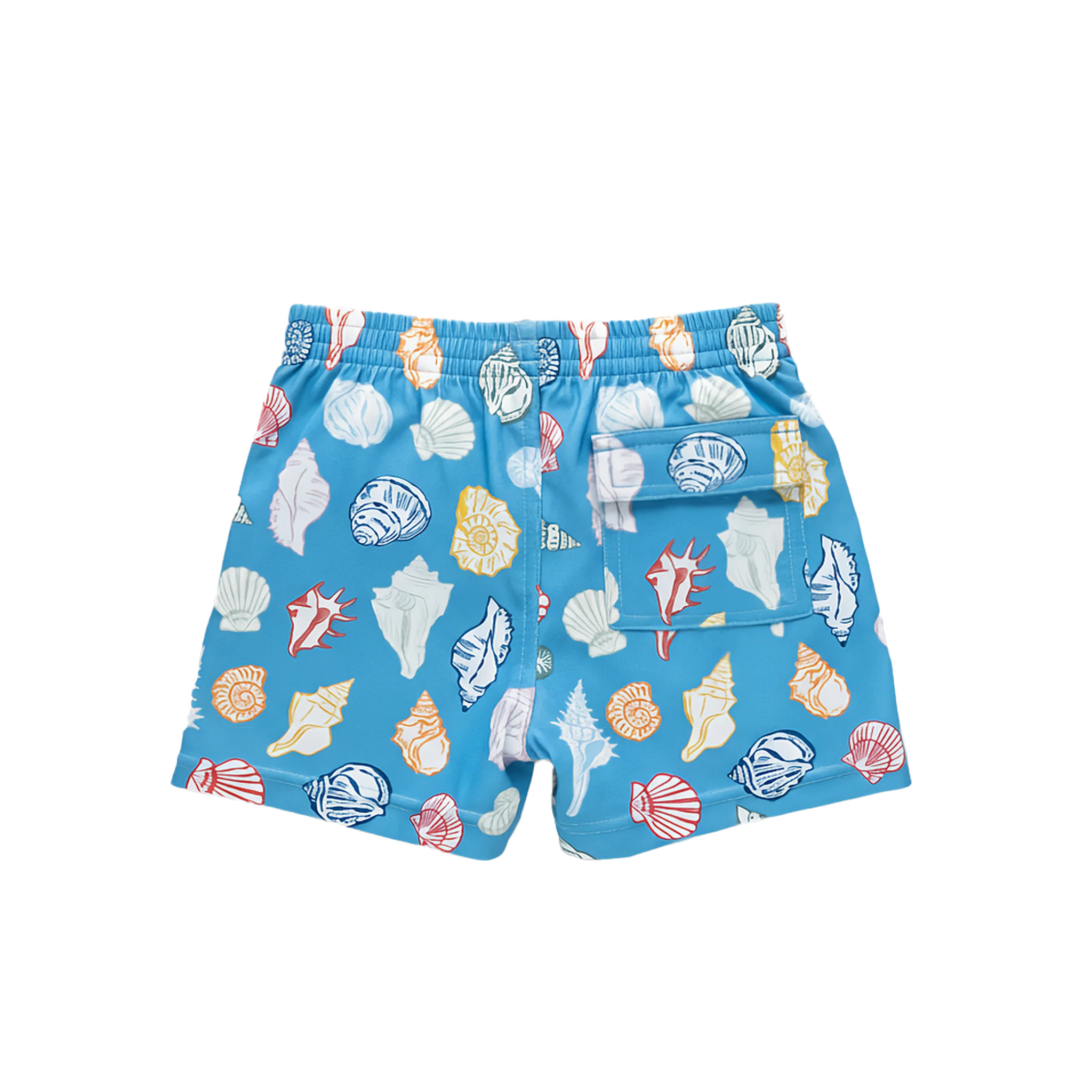 boys swim trunk- blue seashells
