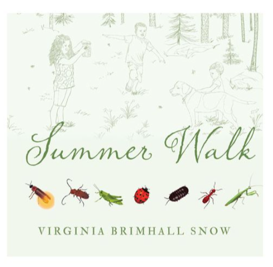 Summer Walk